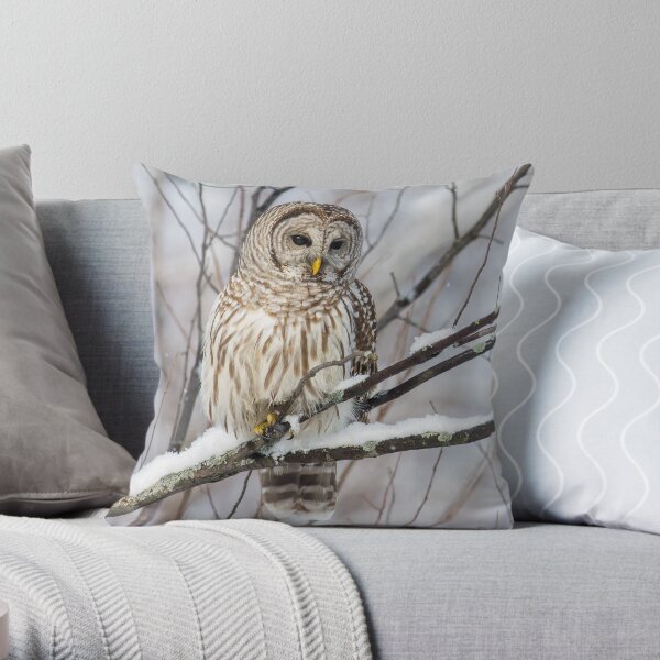 Barred Owl on Snowy Branch Throw Pillow