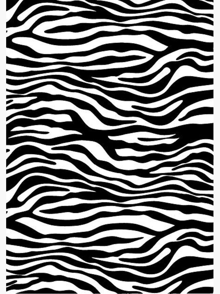 zebra print animal print | Photographic Print