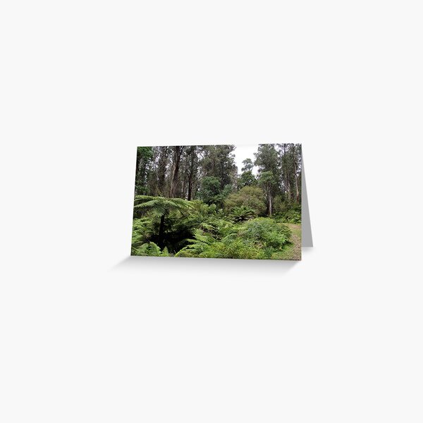 O'Shannassy Aqueduct Trail Greeting Card