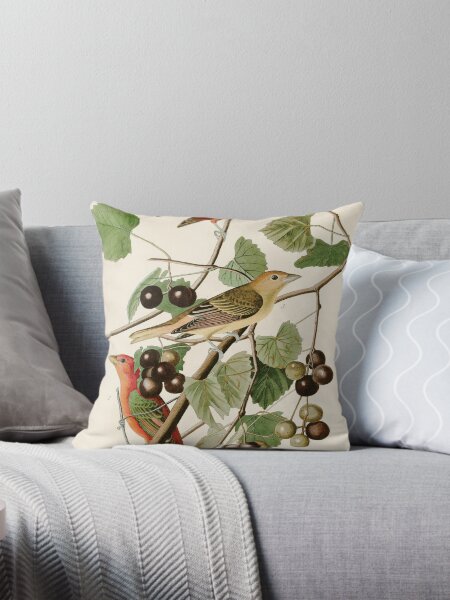 Artikel-Vorschau von Sommerroter Vogel - John James Audubons Birds of America-Druck, designt und verkauft von Vintage Wall Art.