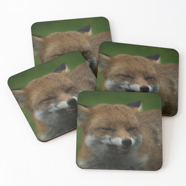 Item preview, Wild Red Fox Showing Its Teeth designed and sold by rawshutterbug.