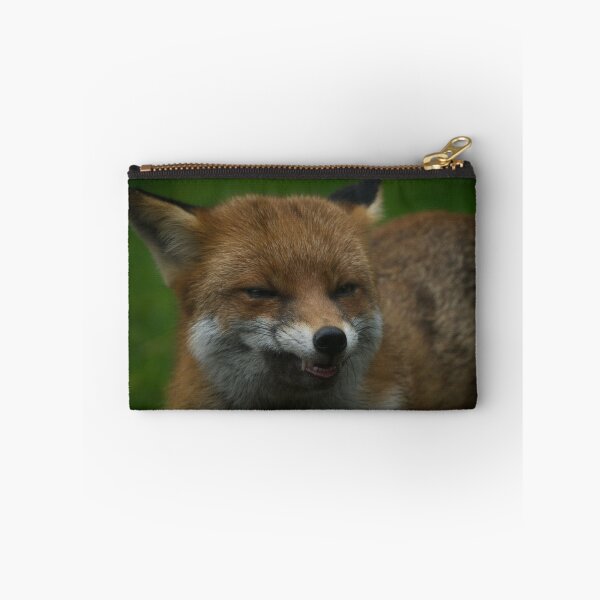 Item preview, Wild Red Fox Showing Its Teeth designed and sold by rawshutterbug.