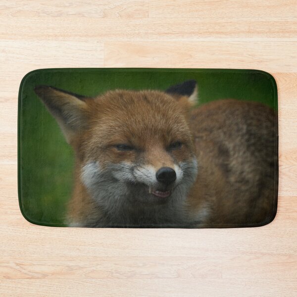 Item preview, Wild Red Fox Showing Its Teeth designed and sold by rawshutterbug.