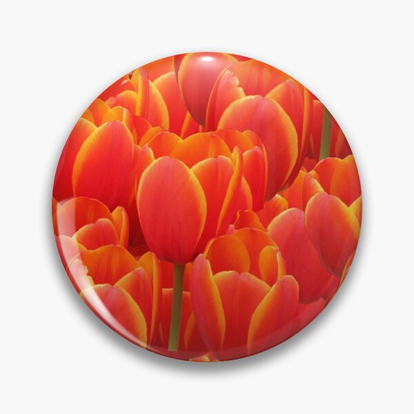 Item preview, World's Favorite Red Tulips   designed and sold by aimeewilson.