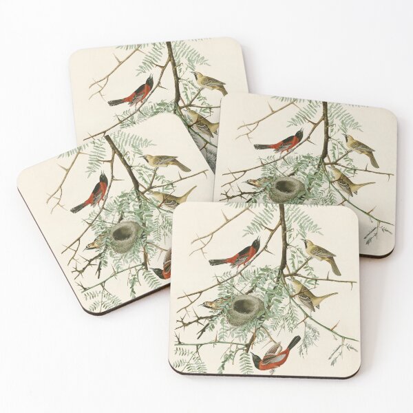 Item preview, Orchard Oriole - John James Audubon's Birds of America Print designed and sold by Vintage Wall Art.