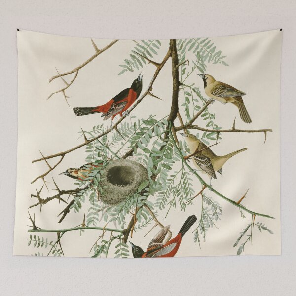 Item preview, Orchard Oriole - John James Audubon's Birds of America Print designed and sold by Vintage Wall Art.