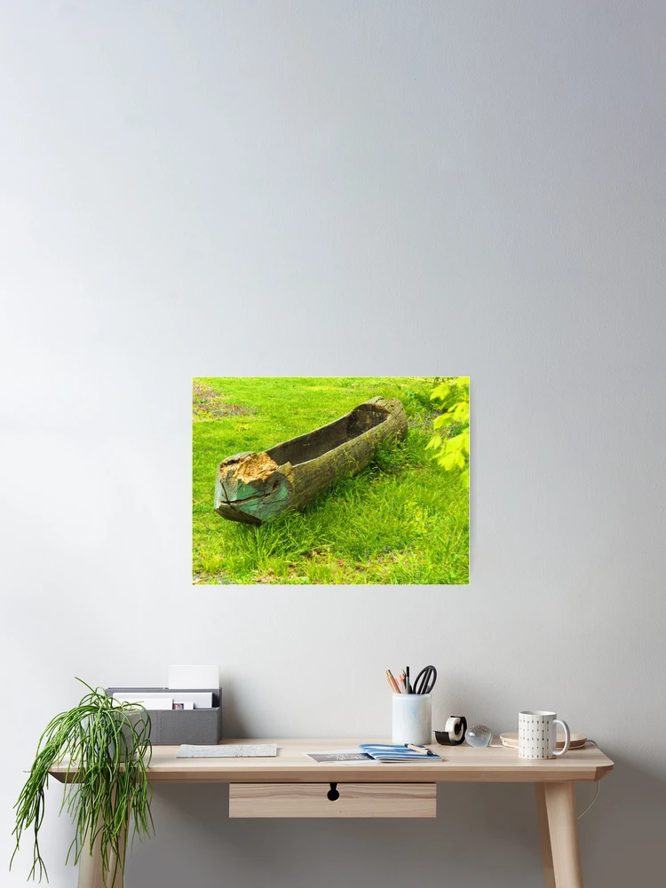 Thumbnail 2 of 3, Poster, Floating Tree designed and sold by lisaj.