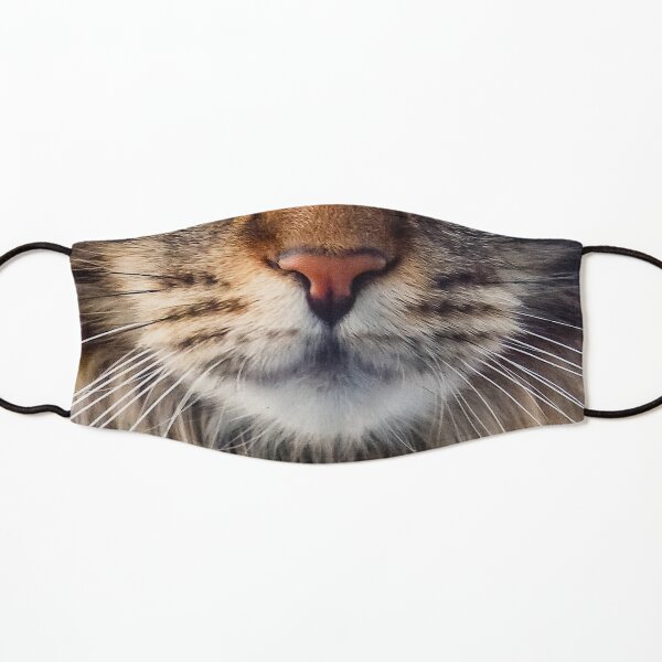 Maincoon Cat Face Protective Mask Kids Mask