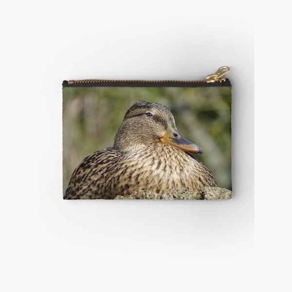 Item preview, Female Mallard designed and sold by KcsArt87.