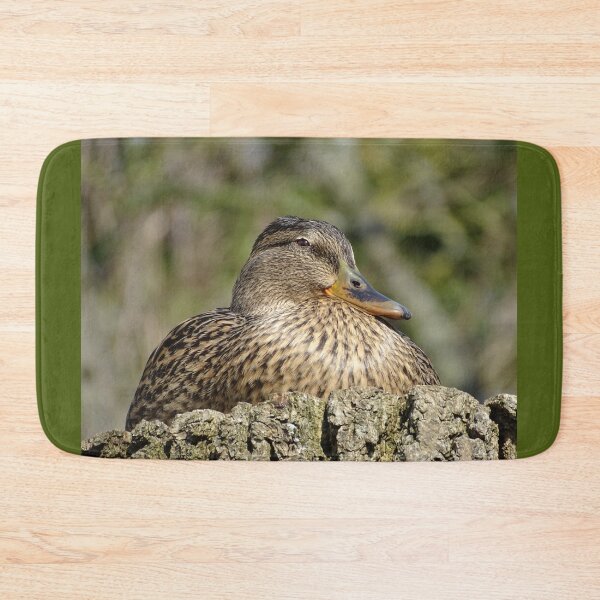 Item preview, Female Mallard designed and sold by KcsArt87.