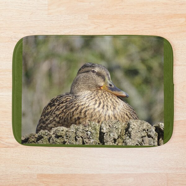 Item preview, Female Mallard designed and sold by KcsArt87.