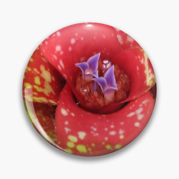Item preview, Color Me Red Bromeliad designed and sold by rosiebrown.