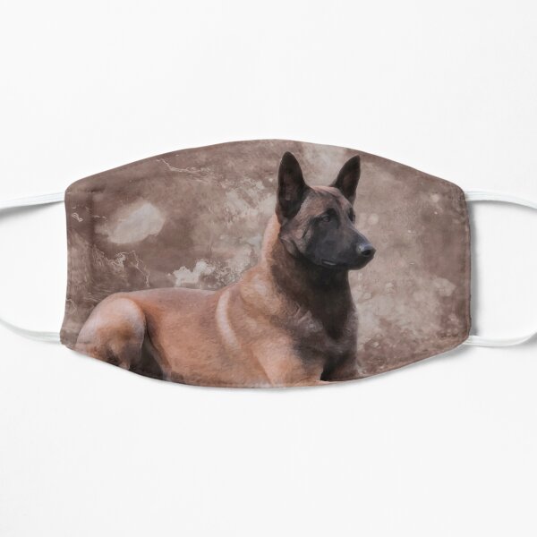 Malinois Belgian shepherd - Mechelaar Mask