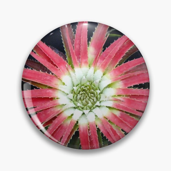 Item preview, Bursting Bromeliad designed and sold by rosiebrown.
