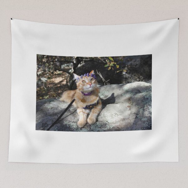 Item preview, Cat with flower crown designed and sold by Zach Auerbach.