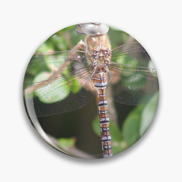 Item preview, camouflaged dragonfly designed and sold by Perggals© - Stacey Turner.