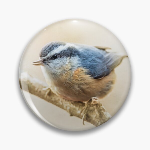 Item preview, Red Breasted Nuthatch on a Branch designed and sold by Michel (Mike) Soucy.