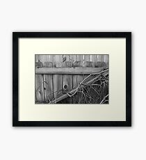 Overgrown Fence Framed Print