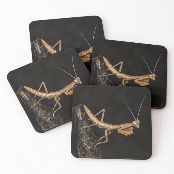 Item preview, Praying Mantis Cute And Creepy Insect Art designed and sold by taiche.