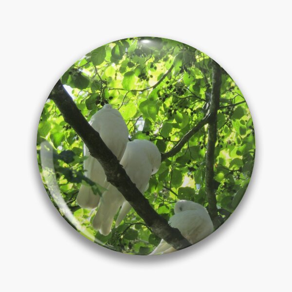 Item preview, doves perched on a tree branch designed and sold by joshuarainbird.