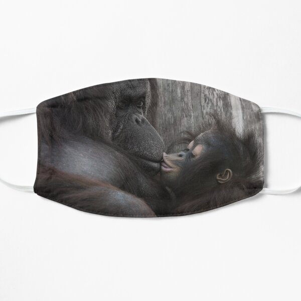 Baby Orangutan Kissing Her Mom Flat Mask