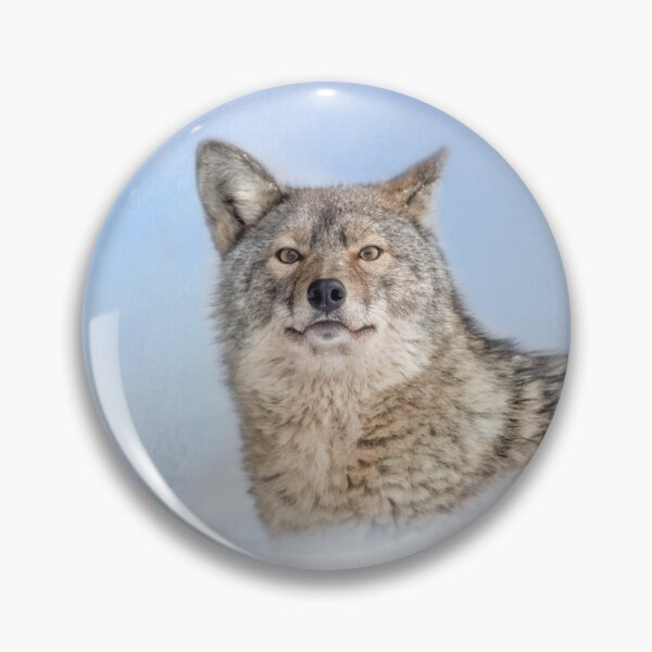 Item preview, Coywolf designed and sold by Michel (Mike) Soucy.