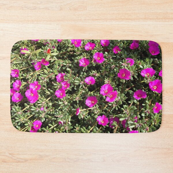 Item preview, Magenta Portulaca Grandiflora Succulent Flowers designed and sold by taiche.