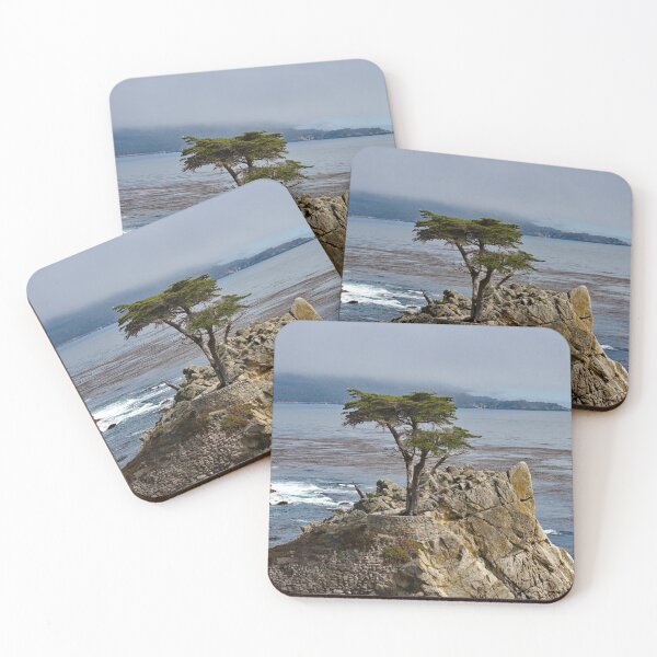 Item preview, Lone Cypress Tree #1 designed and sold by Photos by Phil.