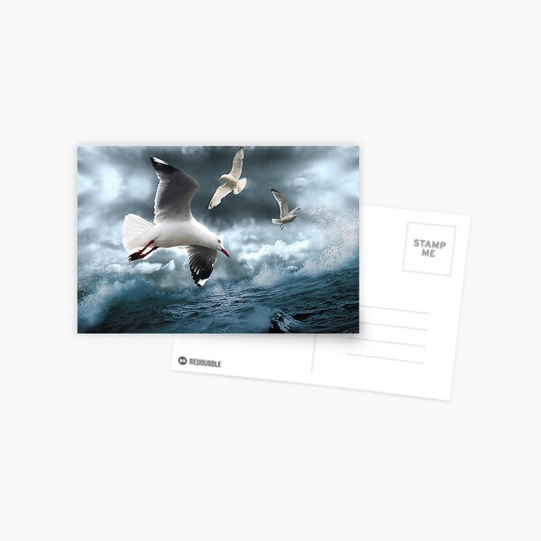 Item preview, Albatross designed and sold by Linda Lees.