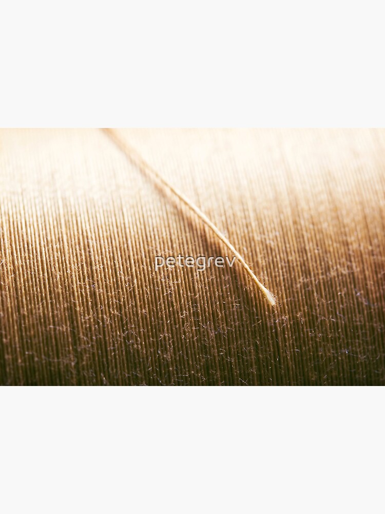 Day 279 - 14th April 2012 by petegrev
