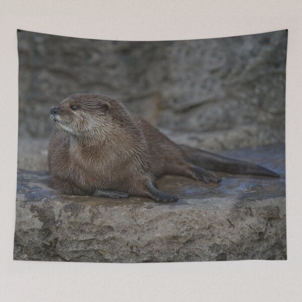 Item preview, Otter designed and sold by rawshutterbug.