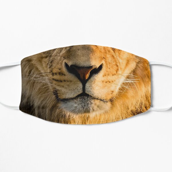 Male Lion Face Protective Mask Flat Mask