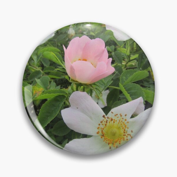 Item preview, where wild roses grow designed and sold by joshuarainbird.
