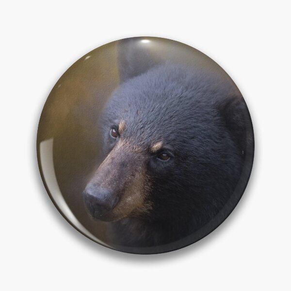 Item preview, Black Bear Portrait designed and sold by Michel (Mike) Soucy.
