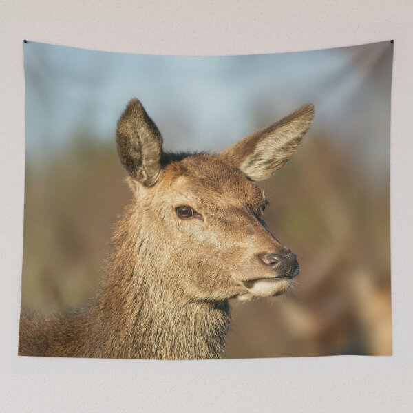 Item preview, Wild Red Deer designed and sold by rawshutterbug.