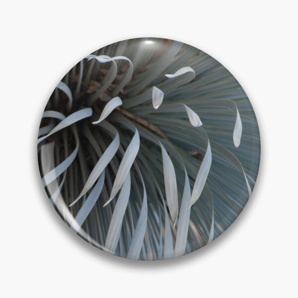 Item preview, Growing grays designed and sold by vfphoto.
