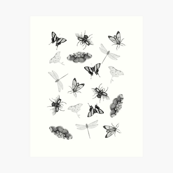 Butterfly in Bloom Fine Art Print (Colour Version) — ECMazur