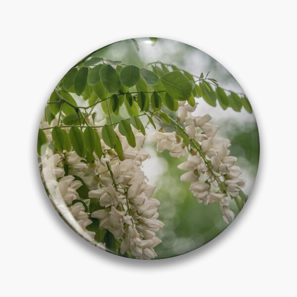 Item preview, White acacia designed and sold by LudaNayvelt.