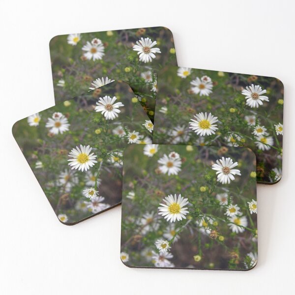 Item preview, Daisy Fleabane (Erigeron annuus) designed and sold by circa24.