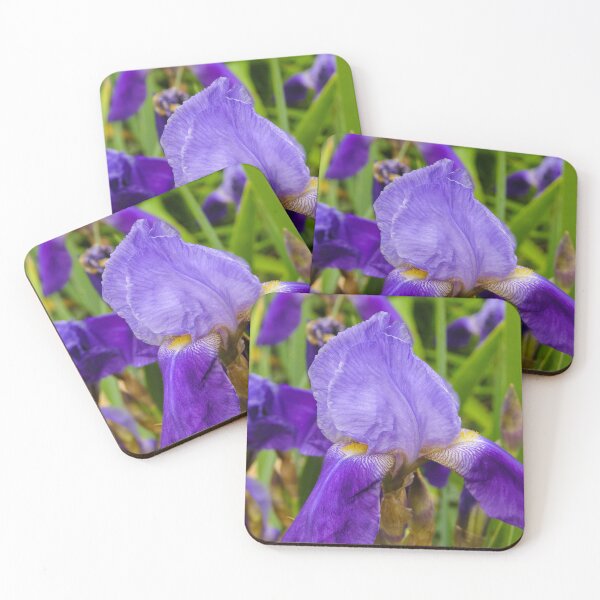 Artikelvorschau, Blue Flag Iris #2 entworfen und verkauft von circa24.