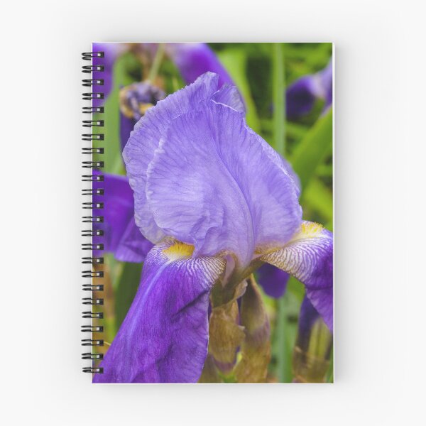 Item preview, Blue Flag Iris #2 designed and sold by circa24.