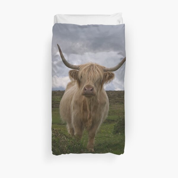 Highland Cow Roaming Gratuit Housse de couette
