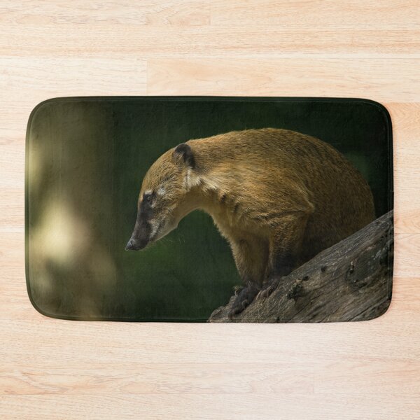 Item preview, Coati On A Tree designed and sold by rawshutterbug.