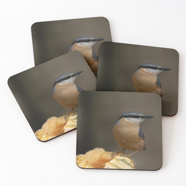 Item preview, Nuthatch On A Pumpkin designed and sold by rawshutterbug.
