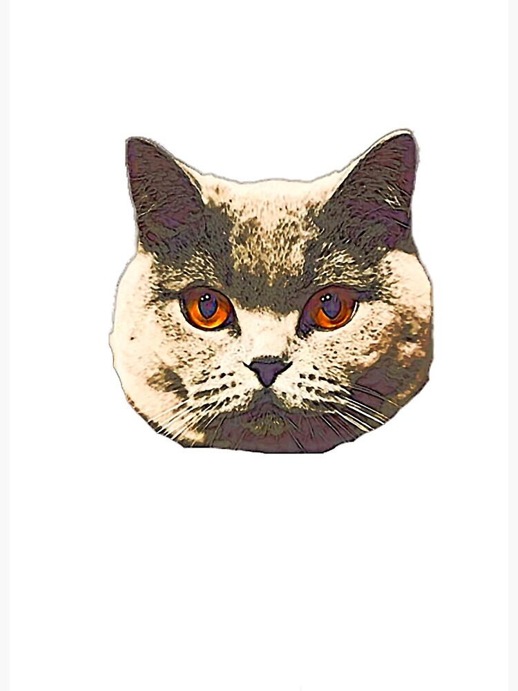cat stickers cats funny stickers Art Board Print for Sale by alaechamlal