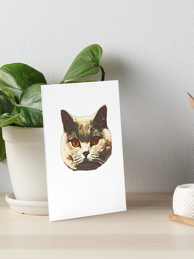 cat stickers cats funny stickers Art Board Print for Sale by