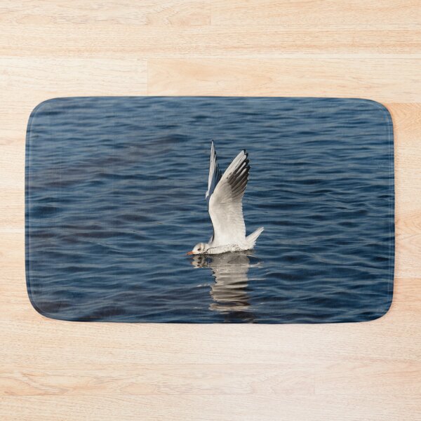 Item preview, The Seagull Has Landed designed and sold by rawshutterbug.