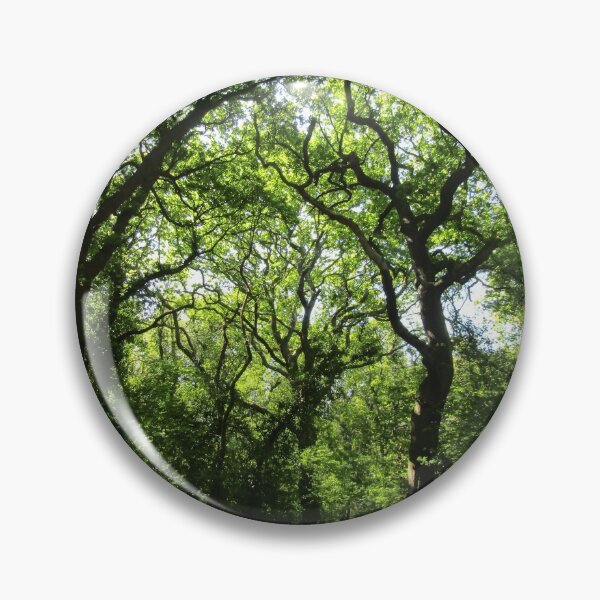 Item preview, woodland scene designed and sold by joshuarainbird.