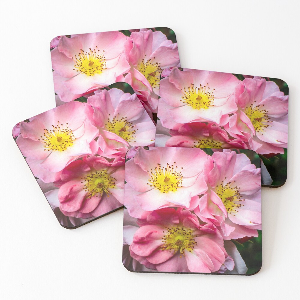 Item preview, Coasters (Set of 4) designed and sold by sarahfmorris.