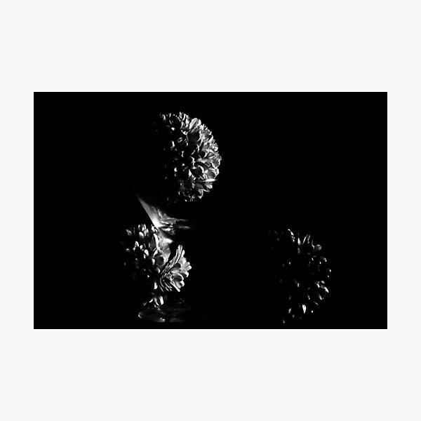 Black Elegant Photographic Print